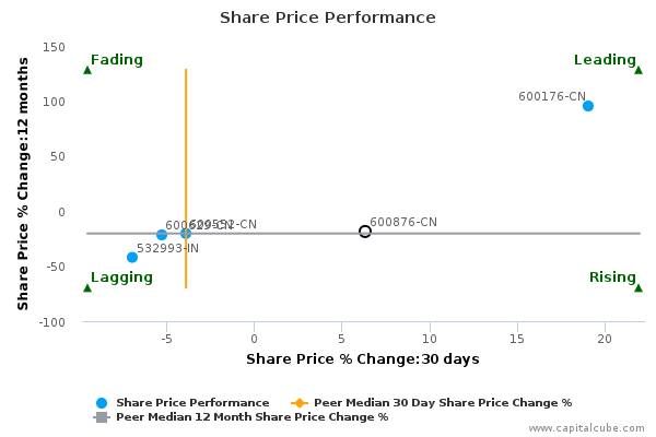 Share Price Performance