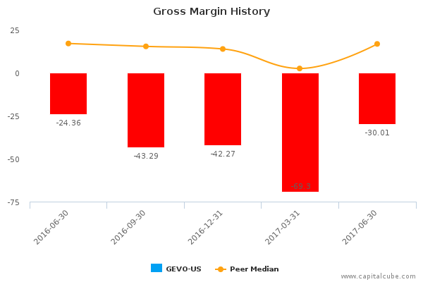 Gross Margin History Gross Margin History