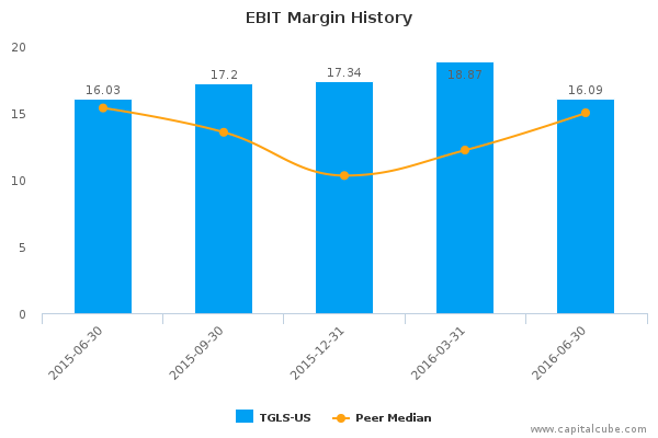 EBIT Margin History EBIT Margin History